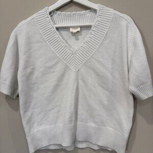 Cyrus Light Gray Short Sleeve Knit Sweater V-Neck Ribbed Trim Size Large